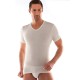 CONFEZIONE 3 PEZZI T-SHIRT INTIMA UOMO SCOLLO A V LANA COTONE LIABEL 5321/23