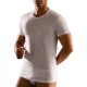 T-SHIRT UOMO GIROCOLLO CAGI 1328