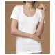 3 PEZZI T-SHIRT DONNA LANA COTONE TM15W NOTTINGHAM