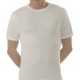 3 PEZZI MAGLIA UOMO MEZZA MANICA 4923 BELLIDENTRO